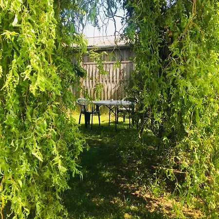 ホームステイ La Casita De Milen Ullerslev