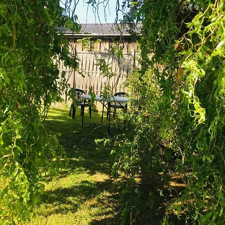 ホームステイ La Casita De Milen